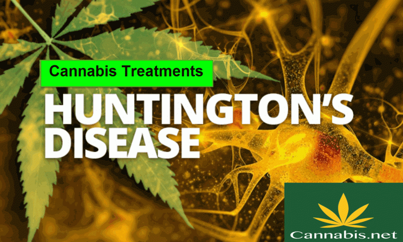 Huntington's Disease and Cannabis