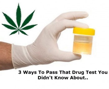 How To Pass A Drug Test You Had No Idea Was Coming