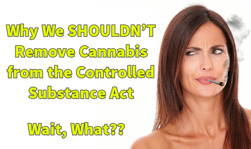 Why We SHOULDN'T Remove Cannabis From The Controlled Substance Act