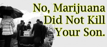 No, Marijuana Did Not Kill Your Son