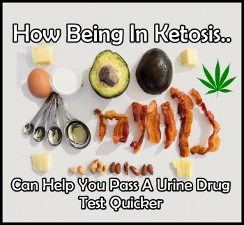 How Being In Ketosis Can Help You Pass A Urine Drug Test Quicker