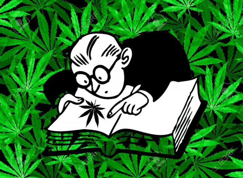 marijuana research myth