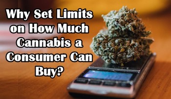 Why Set Limits on How Much Cannabis a Consumer Can Buy?