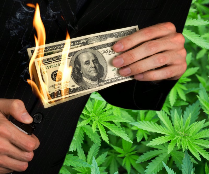 cannabis will never be profitable