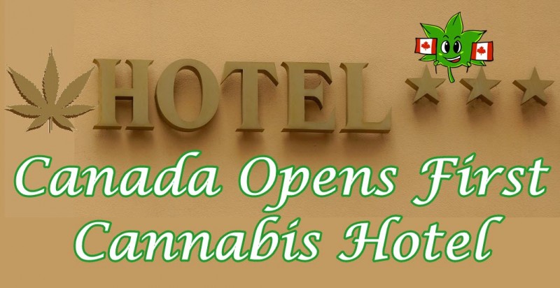 cannabis air hotel