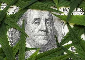 How Do You Get a Cannabis Business Loan?