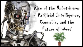 Rise of the Robotrimmer - Artificial Intelligence, Cannabis, and the Future of Weed