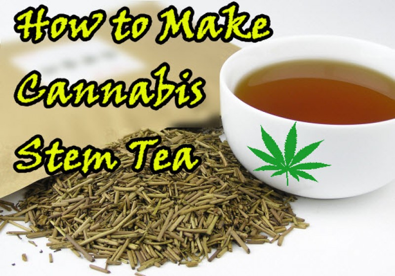 cannabis stem tea