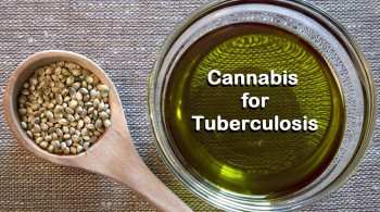 Cannabis for Tuberculosis