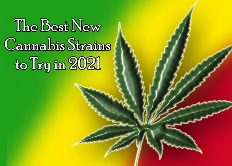 best new marjiuana strains