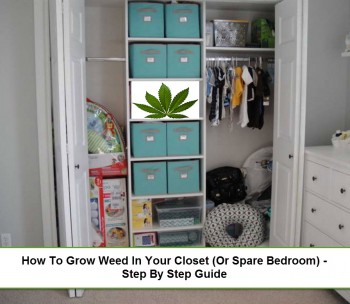 How To Grow Weed In Your Closet -  A Step By Step Guide