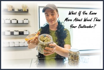 What If You Know More Than Your Budtender?