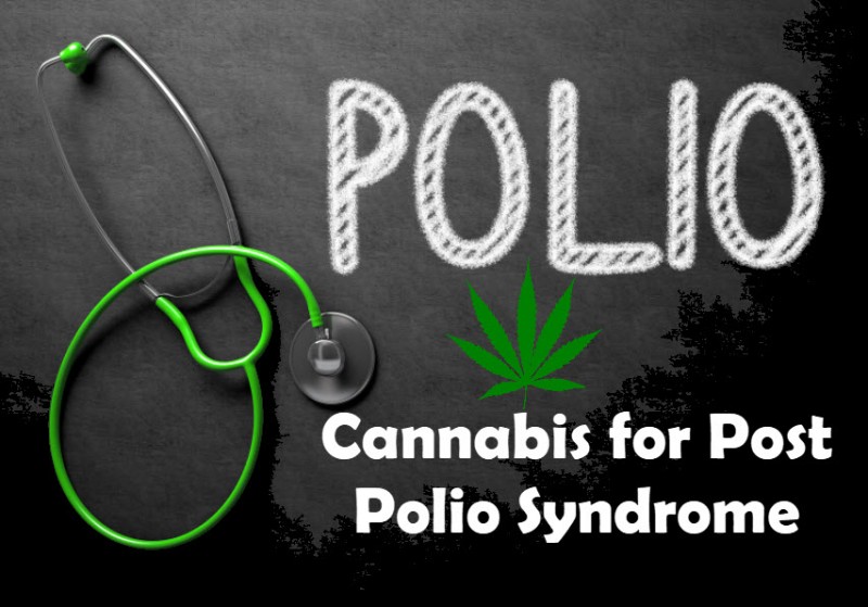 Cannabis for Polio