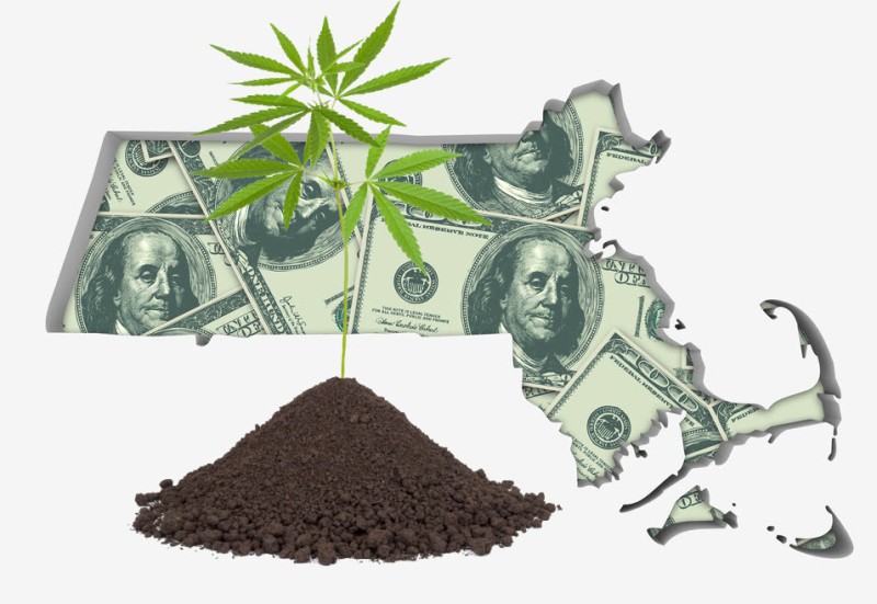 Massachusetts cannabis tax revenues
