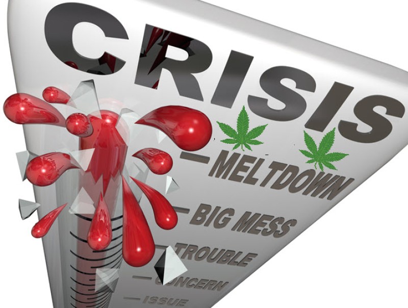 marijuana industry meltdown