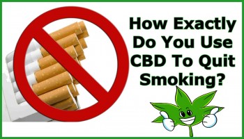 How Exactly Do You Use CBD To Quit Smoking?