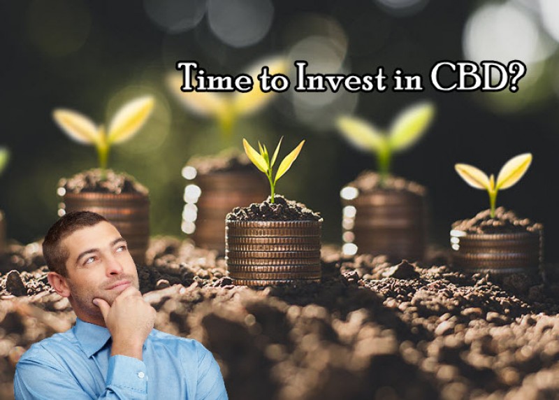 time to invest in cbd