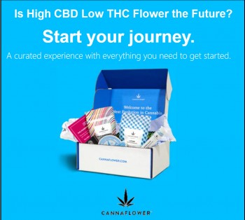 Is Low THC, High CBD Flower the Future? - Cannaflower Leads the Industry!