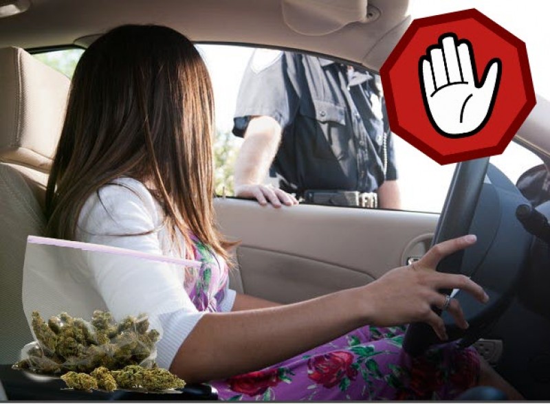 police can smell weed in your car?
