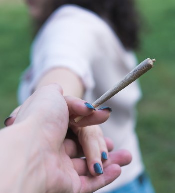 Why the Future of Cannabis is Female, and Why That is a Good Thing!