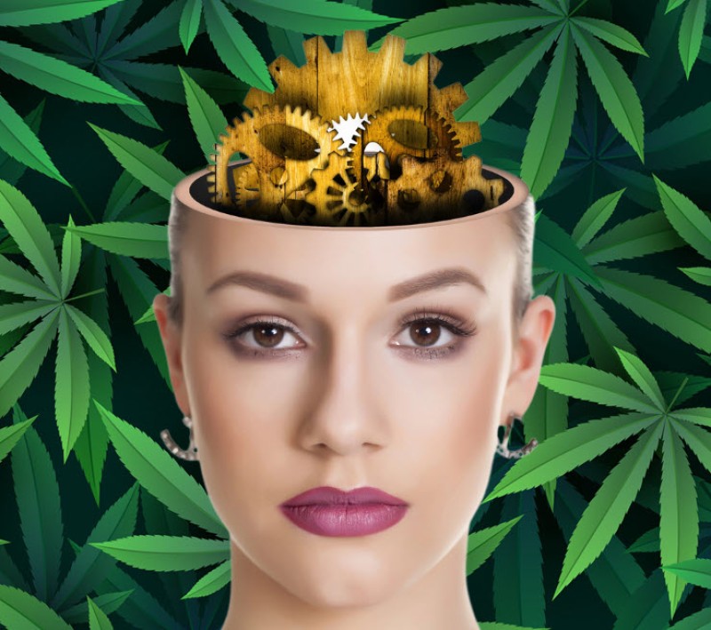cannabis for visualization