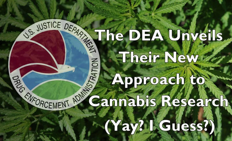 DEA on marijuana growing research