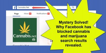 Mystery Solved - Why Facebook is Blocking Cannabis and Marijuana Searches