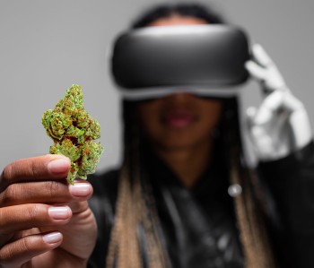 5 Clever Ways to Make Money in the Cannabis Space Using AI Technologies