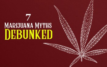 7 Marijuana Myths That Are Completely False