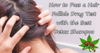 How to Pass a Hair Follicle Drug Test with the Best Detox Shampoo