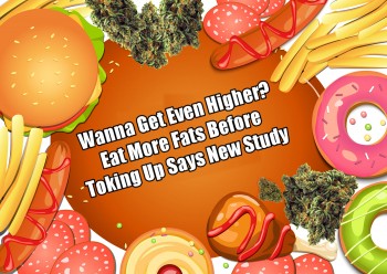 Wanna Get Even Higher? Eat More Fats Before Toking Up Says New Study