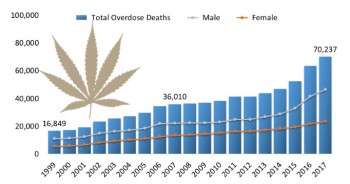 Legalized Marijuana Cuts Opiate Related Deaths, Period.