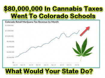 Marijuana Tax Revenues Go To Schools and Shelters