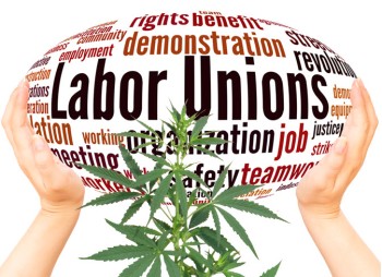 Don't Like Unions, Make a Fake One Up!  - California Cannabis Companies Create Fake Unions to Cut Labor Costs