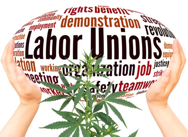 Fake labor unions in cannabis