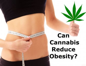 Can Cannabis Reduce Obesity?