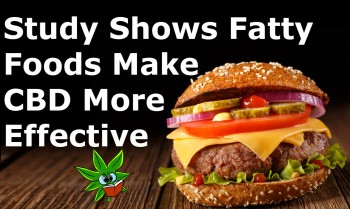 Study Shows Fatty Foods Make CBD More Effective