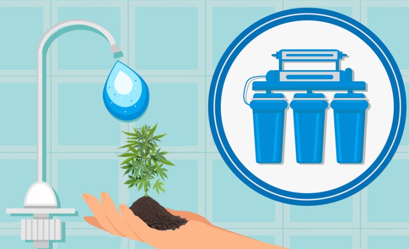 reverse osmosis water for marijuana plants