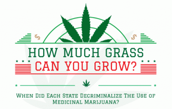 How Much Weed Can You Grow At Home?