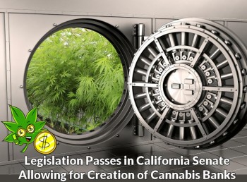 Legislation Passes in California Senate Allowing for Creation of Cannabis Banks
