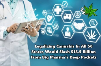 Legalizing Cannabis In All 50 States Would Slash $18.5 Billion From Big Pharma’s Deep Pockets