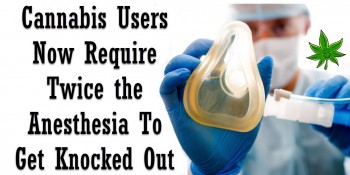 You Can't Knock Me Out! Cannabis Users Need Twice the Anesthesia To Go Under Before Surgery
