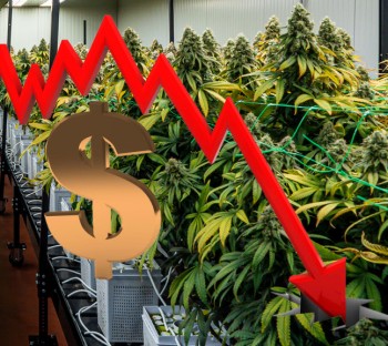 What State Just Dropped Below $80 an Ounce for Legal Cannabis? A. Florida B. Michigan C. California D. New York