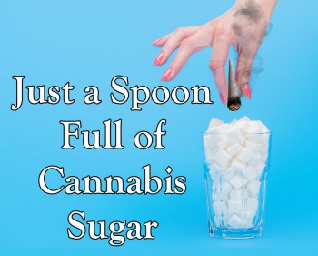 Just a Spoon Full of Cannabis Sugar - How to Make Marijuana Sugar