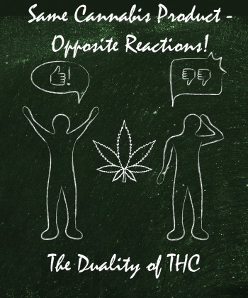 Same Cannabis Product - Opposite Reactions to THC for Some People?