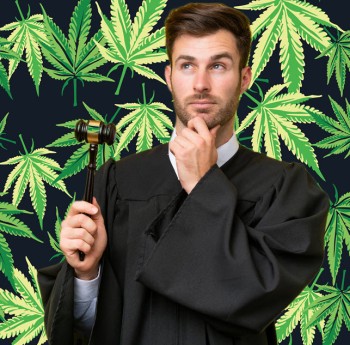 The Court Case That Could Legalize Marijuana in America - Appeal Filed in Canna Provisions vs. US Government Case