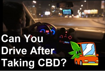 Can You Drive After Taking CBD?