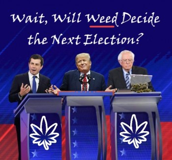 Will Cannabis be a Deciding Factor in the Upcoming Election?