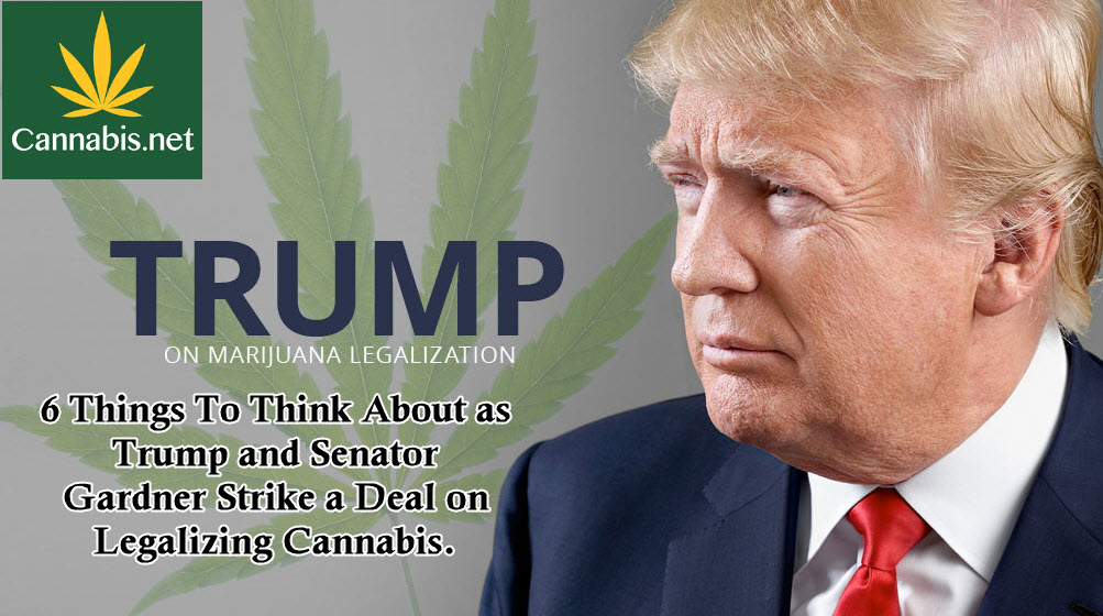 Trump To Legalize Cannabis After Pressure From Sen. Gardner - What ...