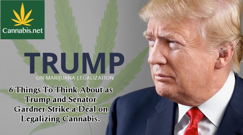 Trump to Legalize